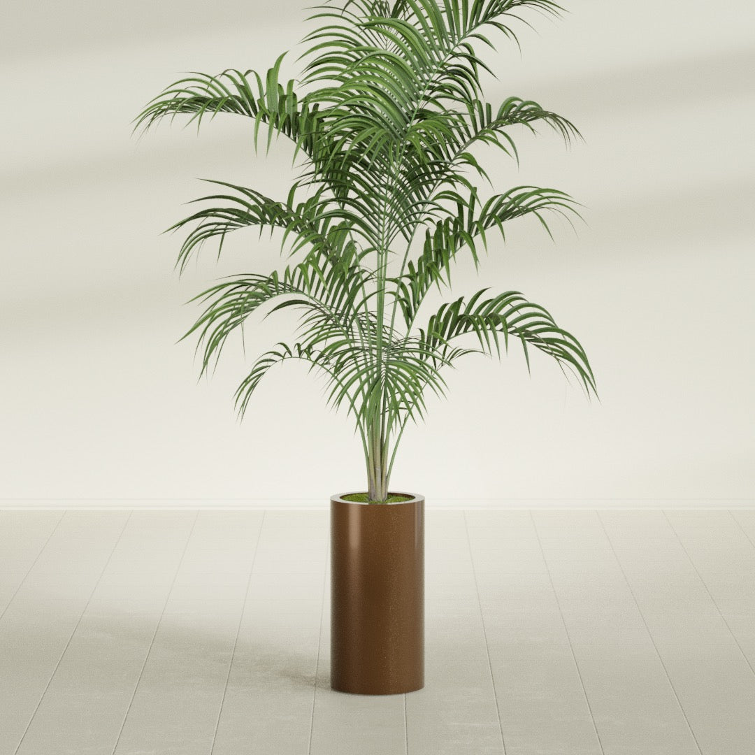 Corry Cylinder fiberglass planter in Metallic Bronze, shown planted, in a sunlit interior