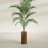 Corry Cylinder fiberglass planter in Metallic Bronze, shown planted, in a sunlit interior