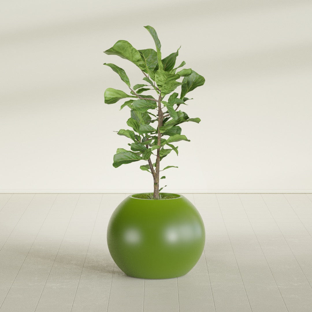 Globe fiberglass planter in Satin Green, shown planted, in a sunlit interior