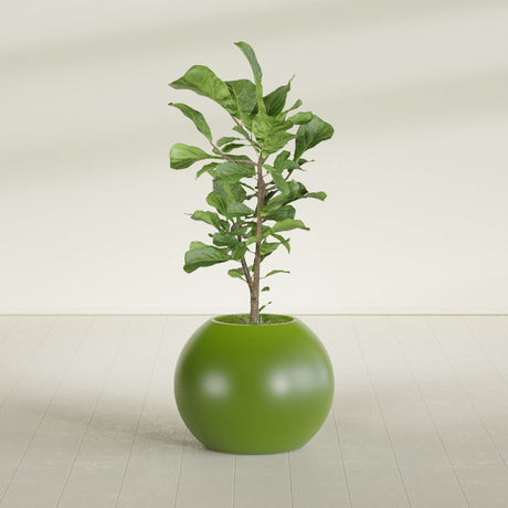 Globe fiberglass planter in Satin Green, shown planted, in a sunlit interior