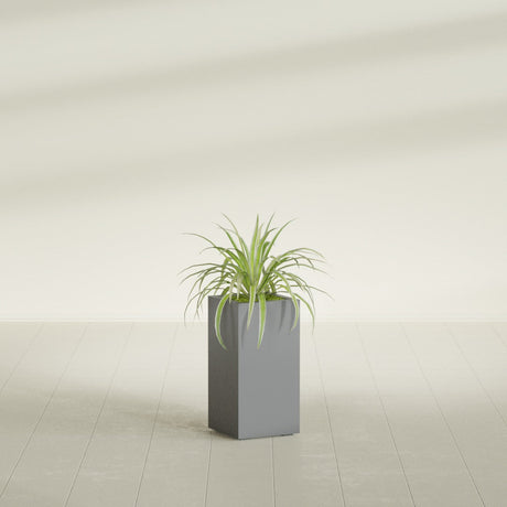 Hollywood Corner fiberglass planter in Matte Gunmetal, shown planted, in a sunlit interior