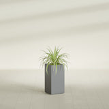 Hollywood Narrow Rectangular fiberglass planter in Matte Gunmetal, shown planted, in a sunlit interior