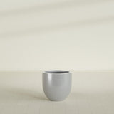 Alzira Bowl Planter in Metallic Silver, 23"D × 22"H, shown empty