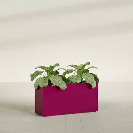 Miami Corner fiberglass planter in Gloss Eggplant, shown planted, in a sunlit interior