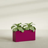 Miami Narrow Rectangular fiberglass planter in Gloss Eggplant, shown planted, in a sunlit interior