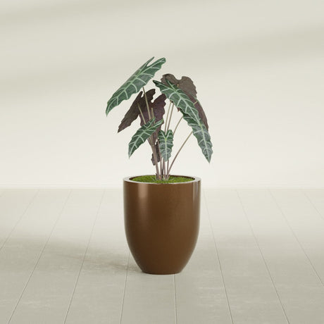 Valencia Tapered Round fiberglass planter in Metallic Bronze, shown planted, in a sunlit interior