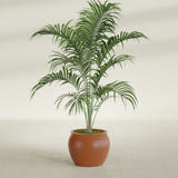 Shanghai Fishbowl fiberglass planter in Matte Terra Cotta, shown planted, in a sunlit interior