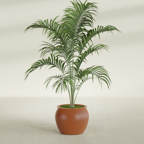 Shanghai Fishbowl fiberglass planter in Matte Terra Cotta, shown planted, in a sunlit interior