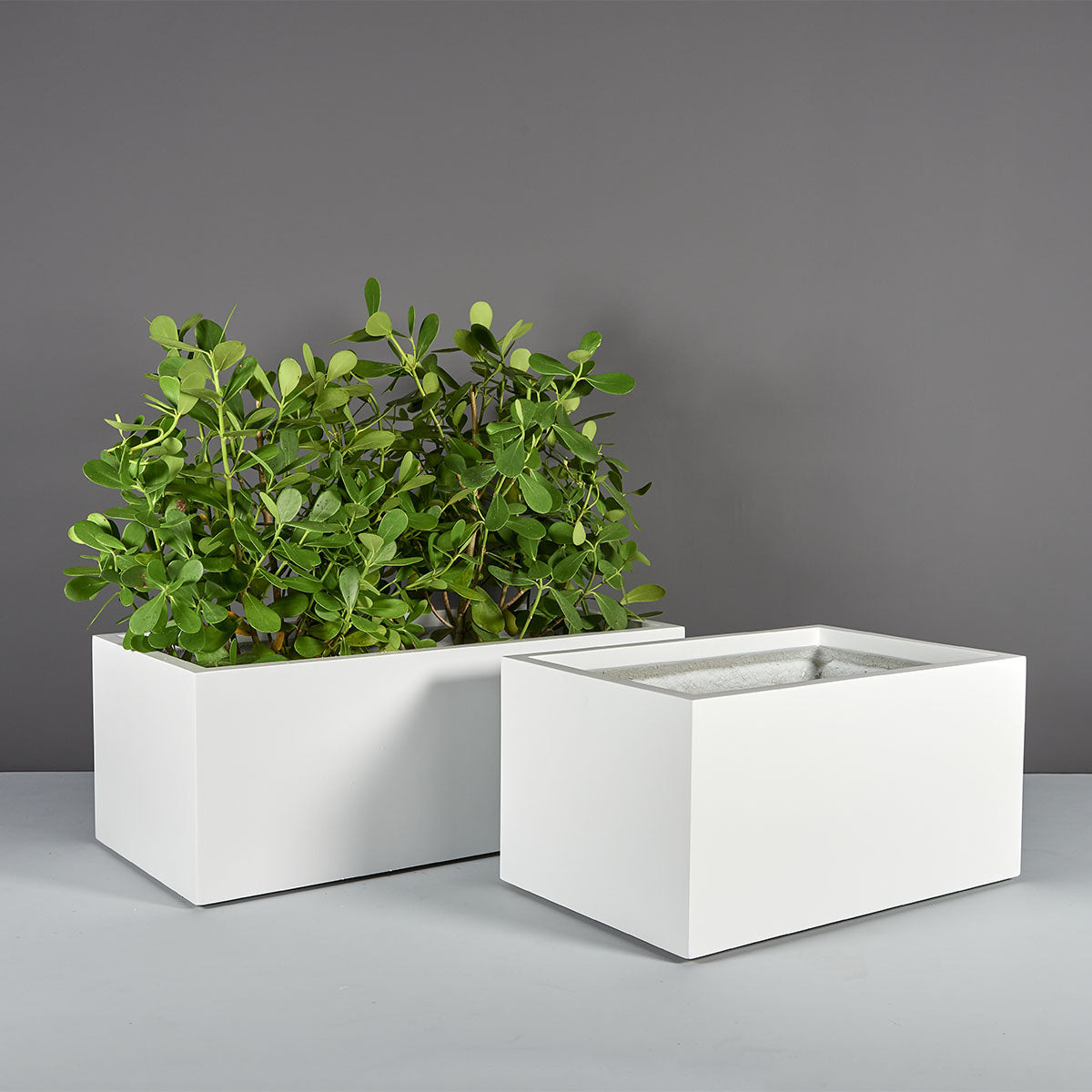 Torino wide rectangular fiberglass planter