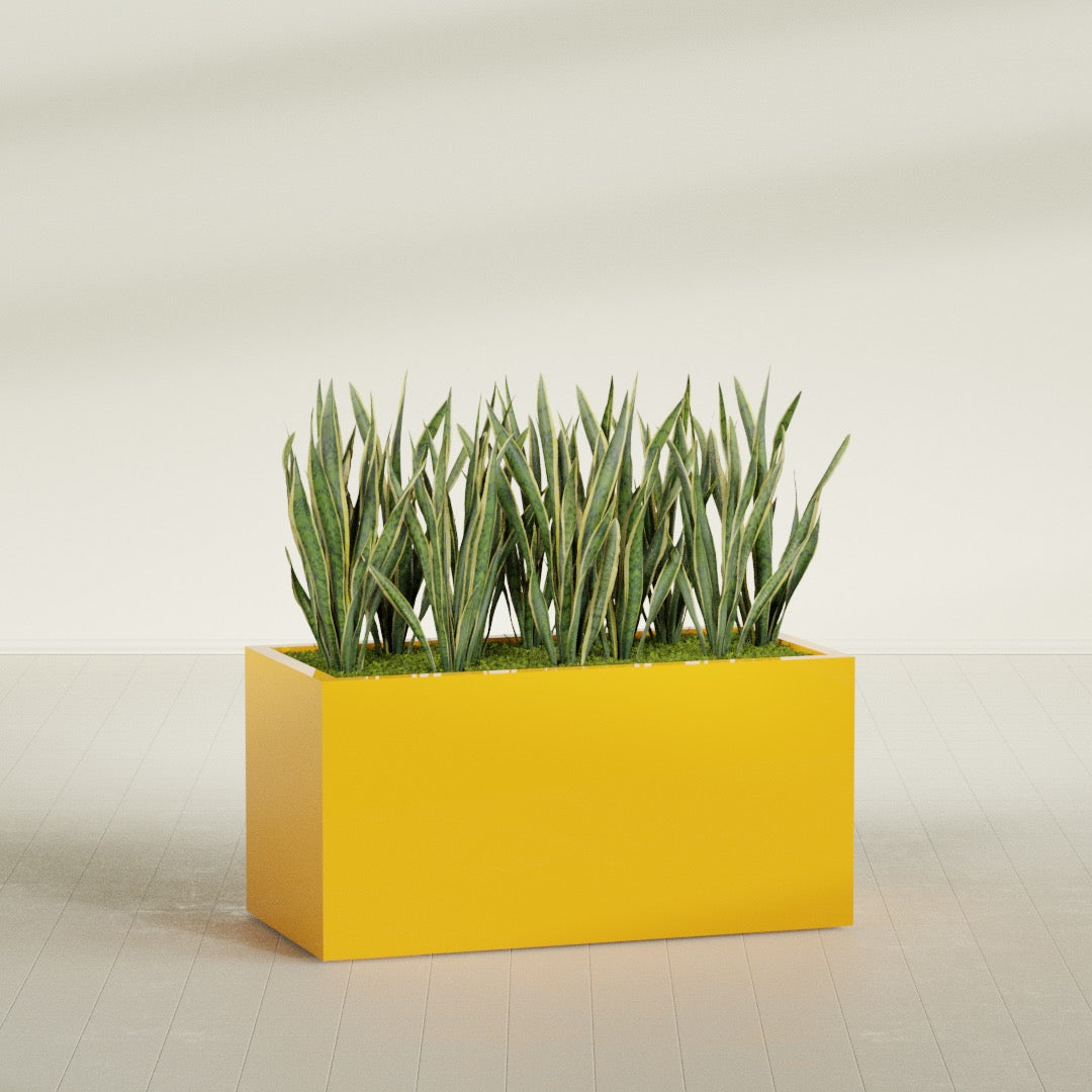 Granada fiberglass planter in Gloss Saffron, shown planted, in a sunlit interior