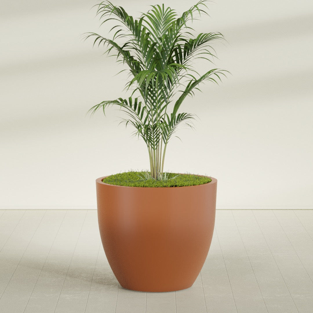 Wannsee Round fiberglass planter in Matte Terra Cotta, shown planted, in a sunlit interior
