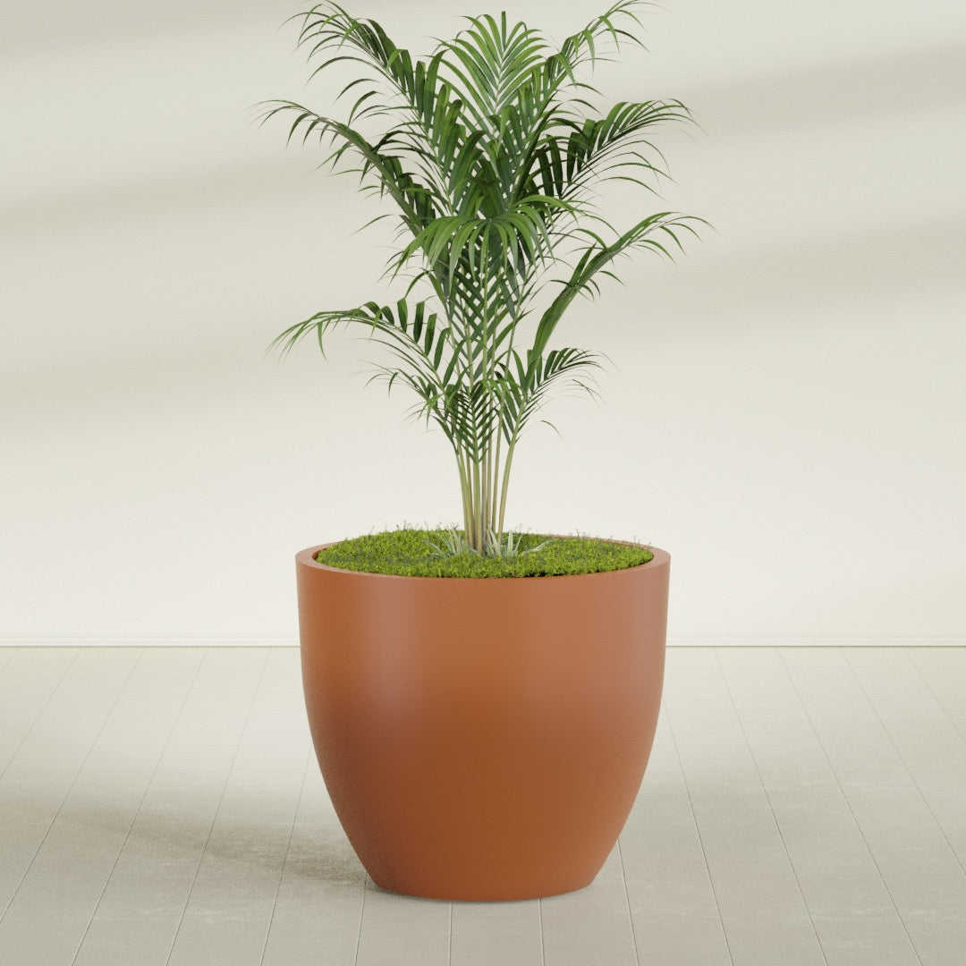 Wannsee Round fiberglass planter in Matte Terra Cotta, shown planted, in a sunlit interior
