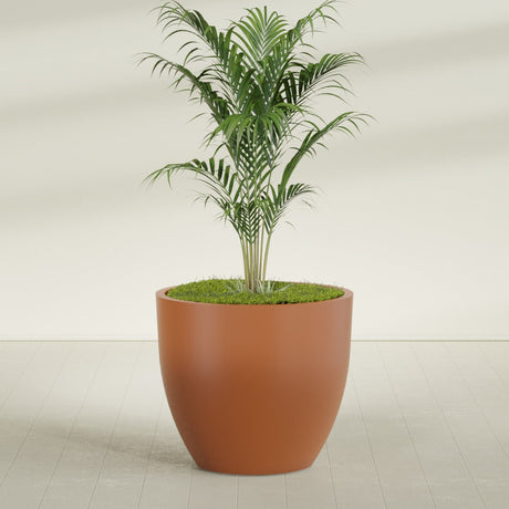 Wannsee Round fiberglass planter in Matte Terra Cotta, shown planted, in a sunlit interior