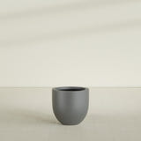 Alzira Bowl Planter in Matte Gunmetal, 23"D × 22"H, shown empty