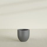 Alzira Bowl Planter in Matte Gunmetal, 23"D × 22"H, shown empty