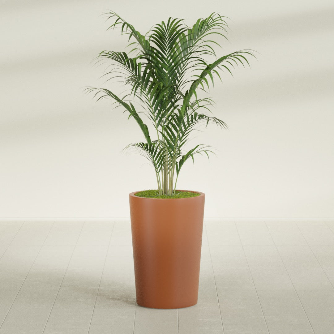Tegel Round Tapered fiberglass planter in Matte Terra Cotta, shown planted, in a sunlit interior