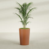 Tegel Round Tapered fiberglass planter in Matte Terra Cotta, shown planted, in a sunlit interior