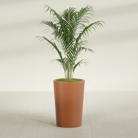 Tegel Round Tapered fiberglass planter in Matte Terra Cotta, shown planted, in a sunlit interior