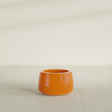 Short Hayden Bowl Planter in Gloss Tangerine, 12"D × 7"H, shown empty