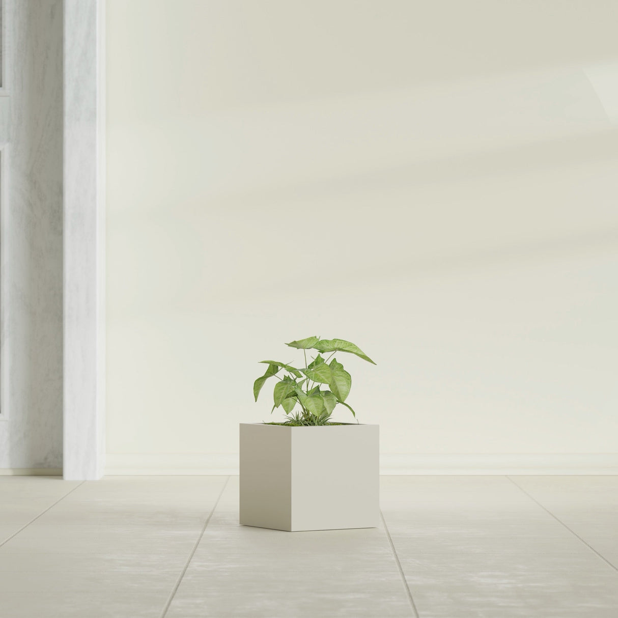 Monaco Cube fiberglass planter in Satin Beige, shown planted, in a sunlit interior