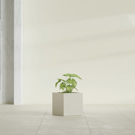 Monaco Cube fiberglass planter in Satin Beige, shown planted, in a sunlit interior