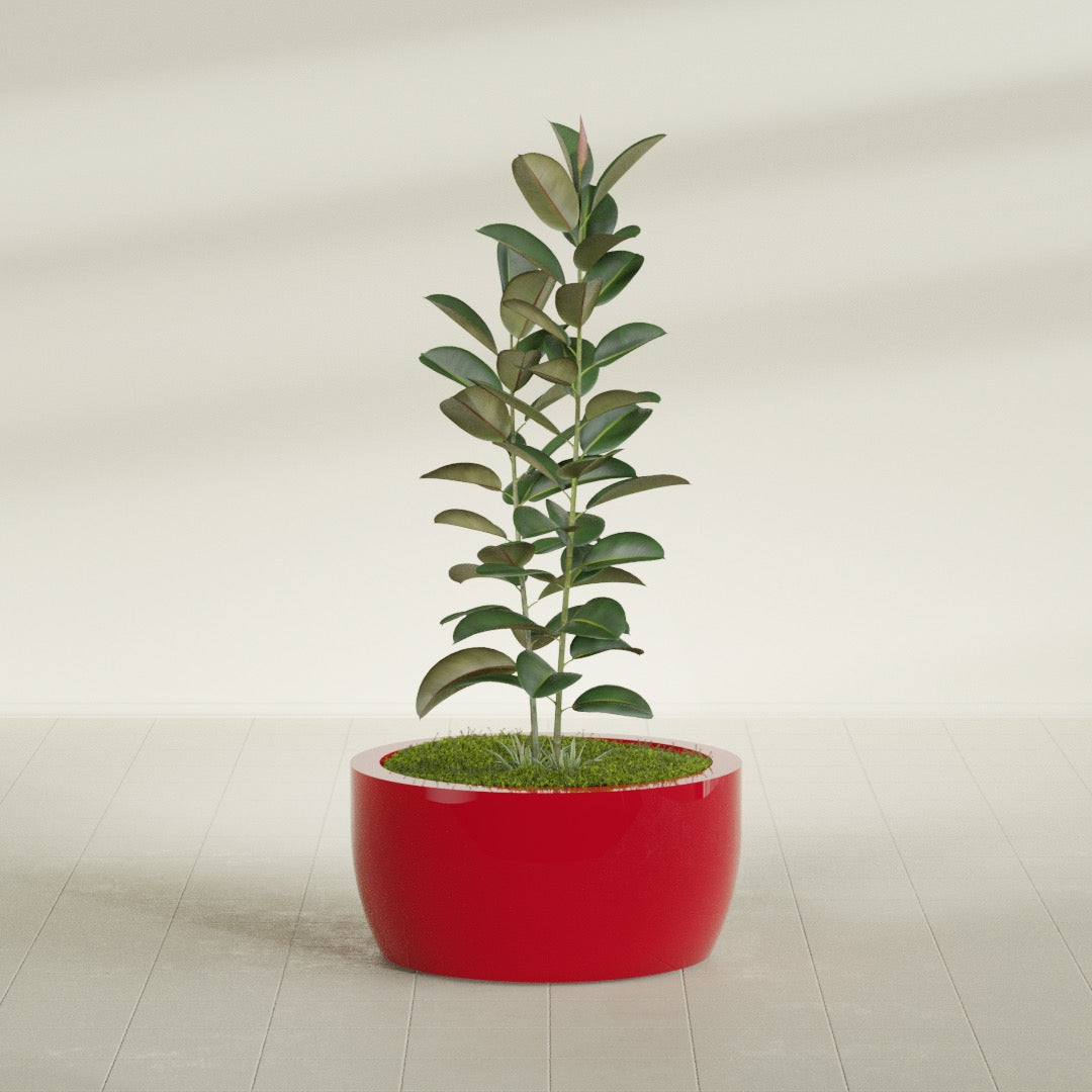 Casablanca Low Bowl fiberglass planter in Gloss Red, planted, in a sunlit interior