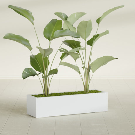 Cuba Corner fiberglass planter in Gloss Bright White, shown planted, in a sunlit interior
