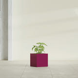 Monaco Cube fiberglass planter in Gloss Eggplant, shown planted, in a sunlit interior