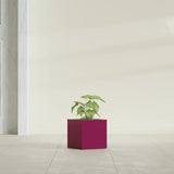 Monaco Cube fiberglass planter in Gloss Eggplant, shown planted, in a sunlit interior