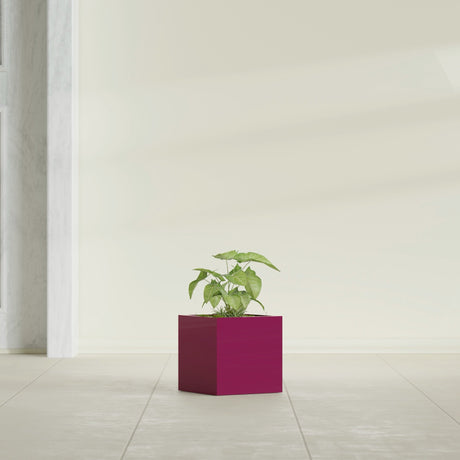 Monaco Cube fiberglass planter in Gloss Eggplant, shown planted, in a sunlit interior