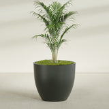 Wannsee Round fiberglass planter in Matte Charcoal, shown planted, in a sunlit interior