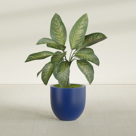 Alzira Bowl fiberglass planter in Matte Cobalt Blue, shown planted, in a sunlit interior