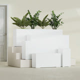 Hollywood Narrow Rectangular fiberglass planter in Matte Bright White, size range, in a sunlit interior