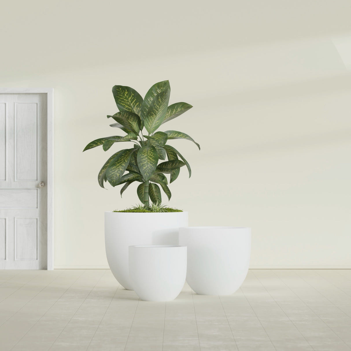 Alzira Bowl fiberglass planter in Matte Bright White, size range, in a sunlit interior