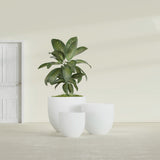 Alzira Bowl fiberglass planter in Matte Bright White, size range, in a sunlit interior