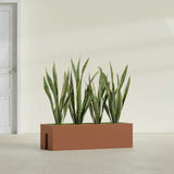 Tiergarden Railing fiberglass planter in Matte Terra Cotta, shown planted, in a sunlit interior