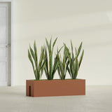 Tiergarden Railing fiberglass planter in Matte Terra Cotta, shown planted, in a sunlit interior