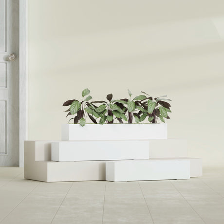 Salon Box fiberglass planter in Gloss Bright White, size range, in a sunlit interior