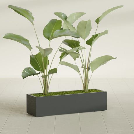 Cuba Corner fiberglass planter in Matte Charcoal, shown planted, in a sunlit interior