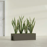 Tiergarden Railing fiberglass planter in Matte Bronze, shown planted, in a sunlit interior