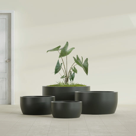 Casablanca Bowl fiberglass planter in Matte Charcoal, size range, in a sunlit interior
