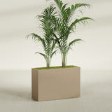 Potsdam Rectangular fiberglass planter in Gloss Metallic Gold, planted, in a sunlit interior