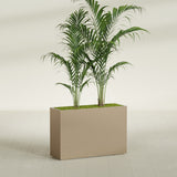 Potsdam Corner fiberglass planter in Gloss Metallic Gold, shown planted, in a sunlit interior