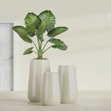 Saigon Tapered Round fiberglass planter in Satin Beige, size range, in a sunlit interior