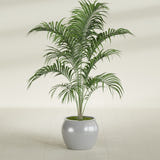 Shanghai Fishbowl fiberglass planter in Metallic Silver, shown planted, in a sunlit interior