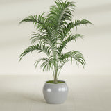 Shanghai Fishbowl fiberglass planter in Metallic Silver, shown planted, in a sunlit interior