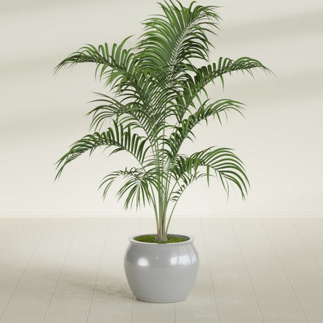 Shanghai Fishbowl fiberglass planter in Metallic Silver, shown planted, in a sunlit interior