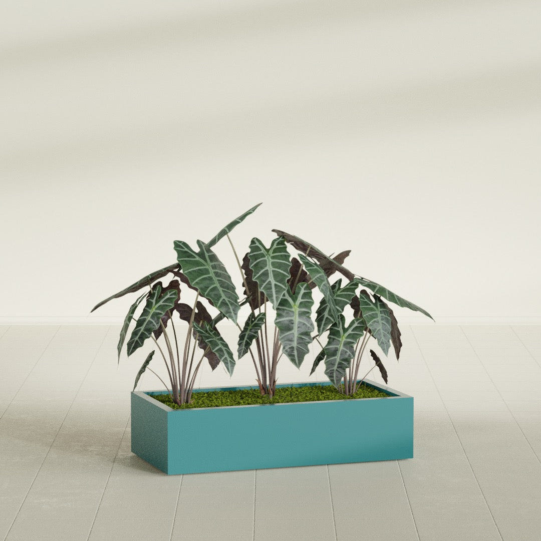 Antwerp Corner fiberglass planter in Satin Seafoam Green, shown planted, in a sunlit interior