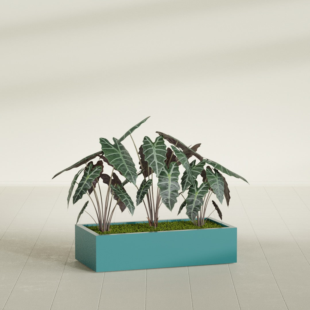Antwerp Rectangular fiberglass planter in Satin Seafoam Green, shown planted, in a sunlit interior