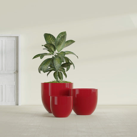 Alzira Bowl fiberglass planter in Gloss Red, size range, in a sunlit interior